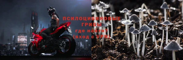 а пвп мука Алзамай
