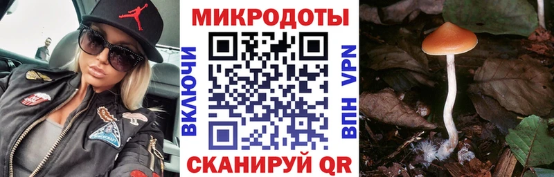Псилоцибиновые грибы мицелий  hydra онион  Навашино 